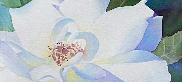 Painting White Flowers